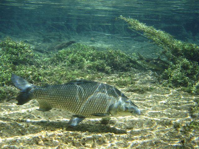 FOTOS 012.jpg
